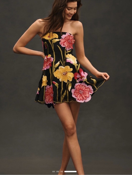 Anthropologie Dresses & Skirts - Anthropologie Floral Organza Mini Dress - Sz S
